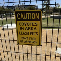Caution sign! Didn't see a signal coyote