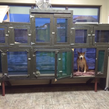 U-Dirty Dog - Kennels - Pet Groomers Near Me - Spearfish, South Dakota