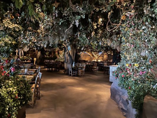 Rainforest Cafe by null