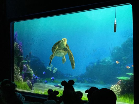 Turtle Talk with Crush by null