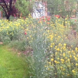Flowers along side of campground no camping on grass. Flowers along side of campground no camping on grass.