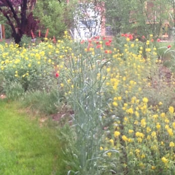 Up the Creek Campground - Flowers along side of campground no camping on grass. - Campgrounds Near Me - Moab, Utah Up the Creek Campground - Flowers along side of campground no camping on grass. - Campgrounds Near Me - Moab, Utah