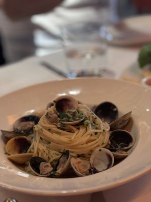 Serafina Financial District by null