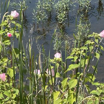 Bernheim Forest and Arboretum - Quiet area. - Parks Near Me - Clermont, Kentucky