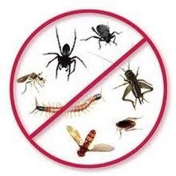 Always Available Pest Control - Pest Removal - Pest Control Near Me - Pittsburgh, Pennsylvania