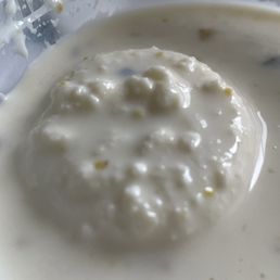Rasmalai Rasmalai