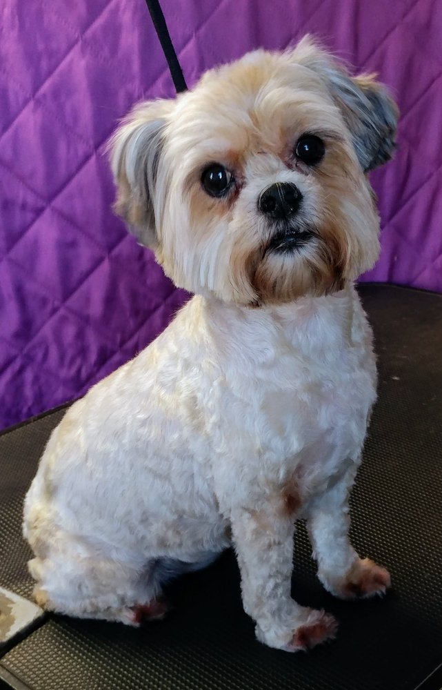 PAWDADDY’S PET PARLOR & PLAYHOUSE 16 Photos 1924 E 25th St