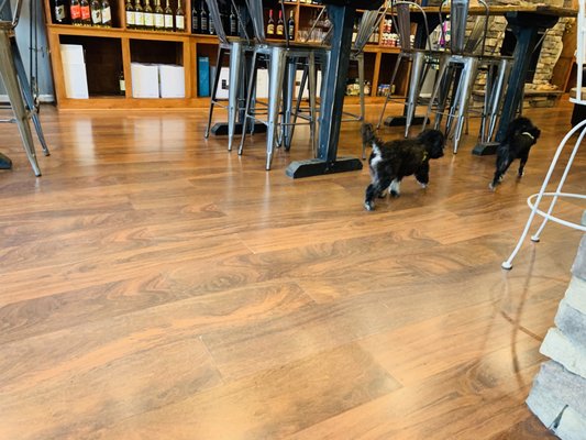 Uncorked in Mayberry Wine & Craft Beer by null