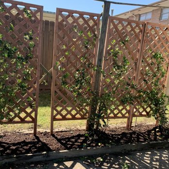 Audrey's Landscaping & Tree Services - Tree Services Near Me Audrey's Landscaping & Tree Services - Tree Services Near Me