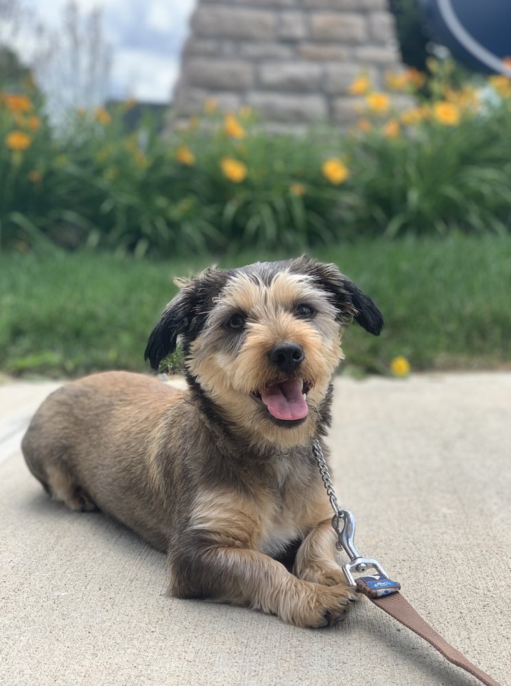 CENTRAL OHIO K9 Updated August 2024 2772 Sawbury Blvd, Columbus