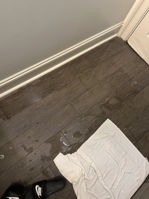 The White House Hotel by null