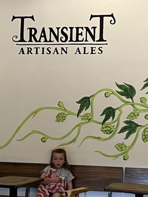 Transient Artisan Ales by null