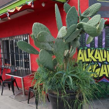 VegainzLA - Afuera - Vegan Near Me - Inglewood, California VegainzLA - Afuera - Vegan Near Me - Inglewood, California