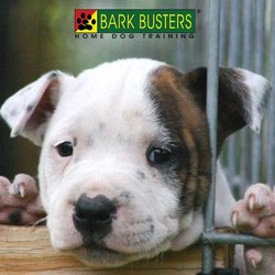 Bark Busters - Laura Victory