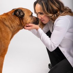 SuperVet