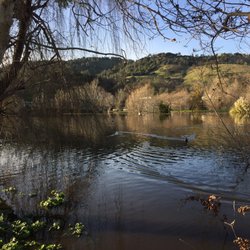 Clark's Island