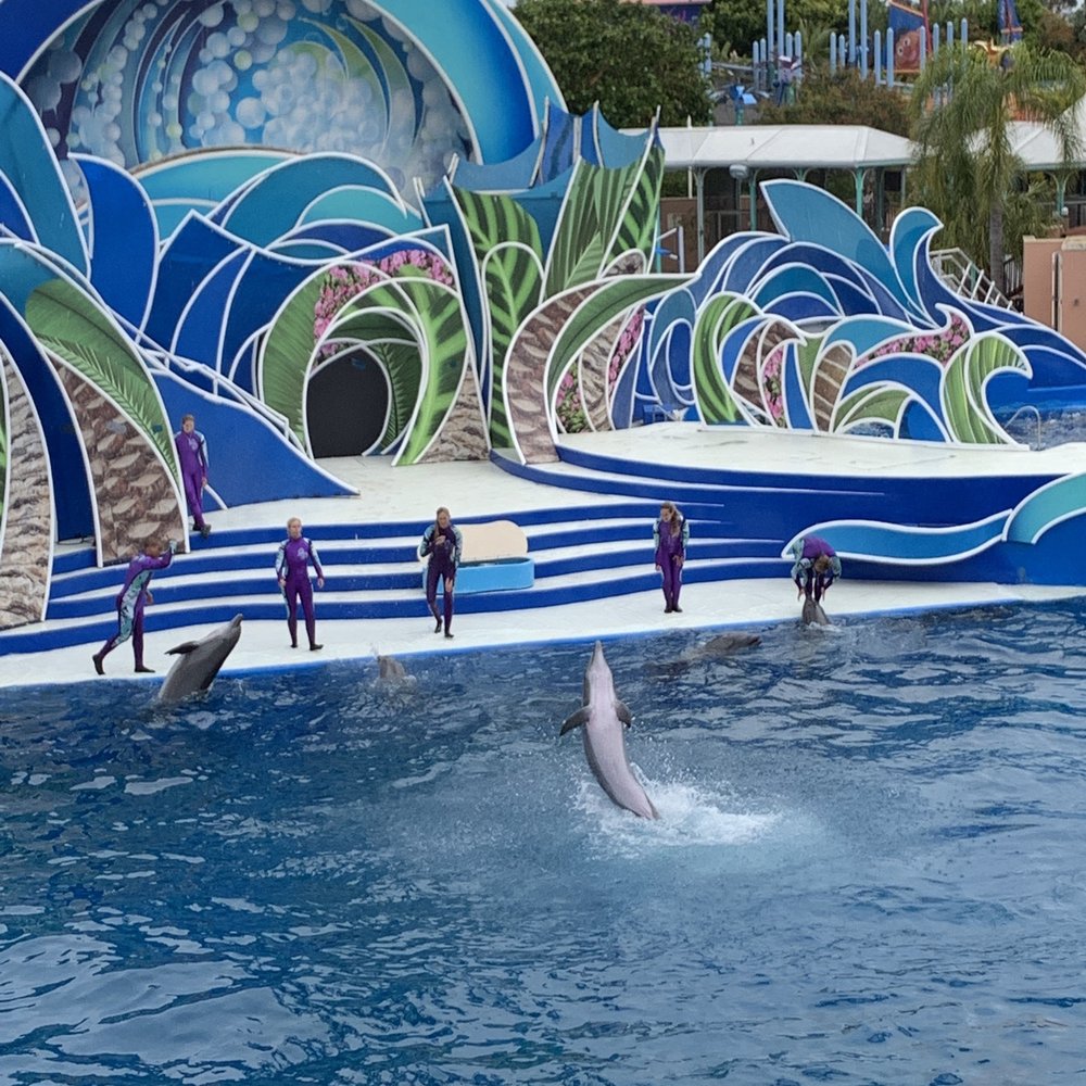 SeaWorld - Dolphin show - Zoos Near Me - Los Angeles, California