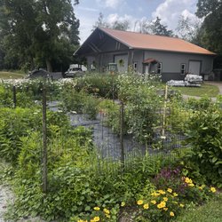 3 North Vines