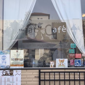 The Cat Cafe - Coffee & Tea Near Me - San Diego, California The Cat Cafe - Coffee & Tea Near Me - San Diego, California