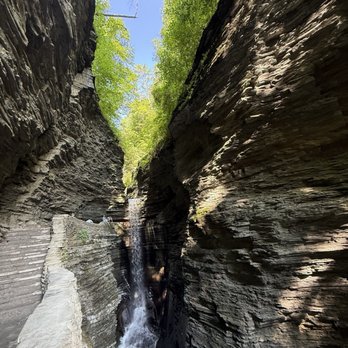 Watkins Glen State Park - Parks Near Me - Watkins Glen, New York