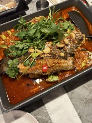 Hot Space Brooklyn by null