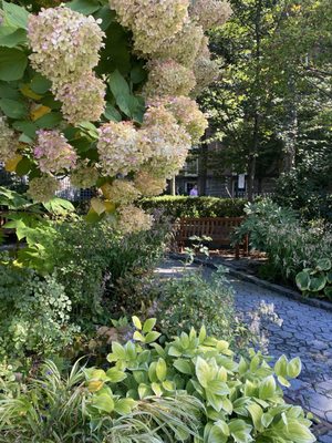 Central Park Zoo by null