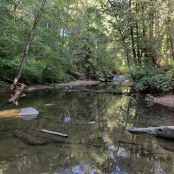 Whatcom Falls Park - Dog Parks Near Me - Bellingham, Washington