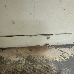 Signature Property Inspections