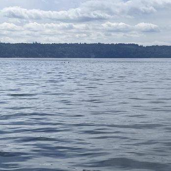 Puget Sound Express - Whale Watching Tours Near Me - Edmonds, Washington Puget Sound Express - Whale Watching Tours Near Me - Edmonds, Washington