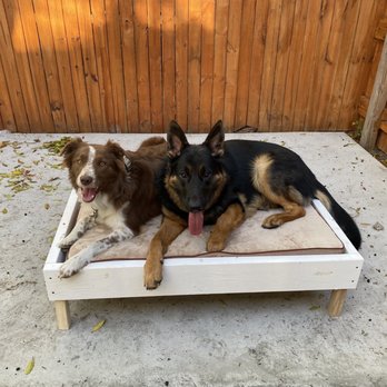 Kyser K9 Dog Training - Pet Training Near Me Kyser K9 Dog Training - Pet Training Near Me