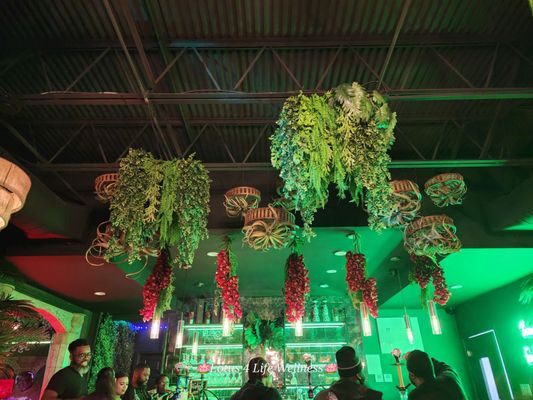 Zanzi Bar Cuisine & Lounge by null