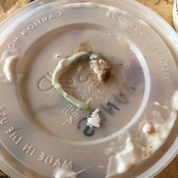 First Watch - Here's a picture of the greens and egg shells - Cafes Near Me - Gaithersburg, Maryland