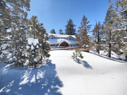 Big Bear Hostel by null