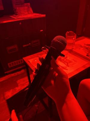 PlugIN Karaoke by null