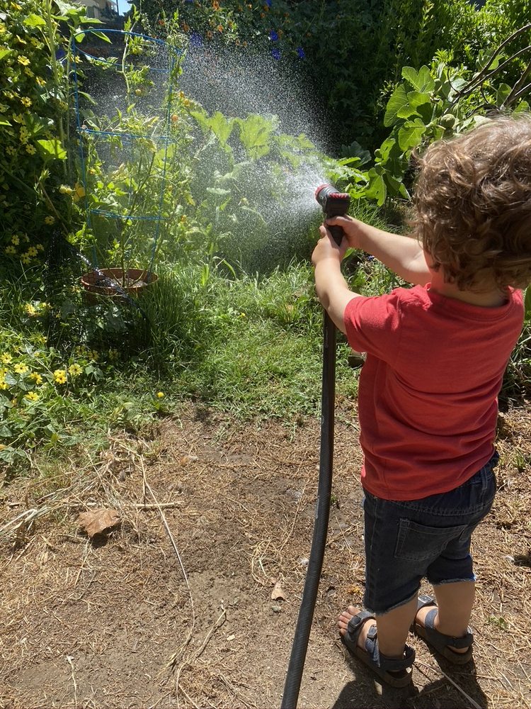 Beansprouts Preschool - childcare center in San Jose, CA