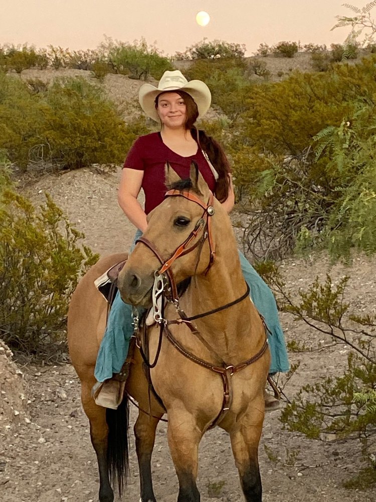 ORGAN MOUNTAIN RANCH Updated October 2024 64 Photos 5025 Holsome