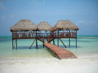 Travel & Cruise Vacations