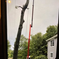 Monster Tree Service of Greater Lansing - When other companies cannot get the job done, give us a call.