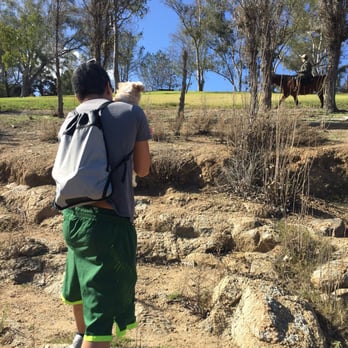 Lake Poway Park - Was attempting to see if Lyla was going to be afraid of the horse. - Parks Near Me - Poway, California