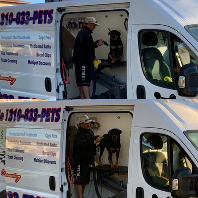 fantasy spa mobile pet grooming