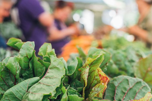 Oak Park Farmers Market by null