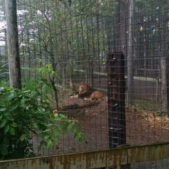 Black Pine Animal Sanctuary - Animal Shelters Near Me - Albion, Indiana Black Pine Animal Sanctuary - Animal Shelters Near Me - Albion, Indiana