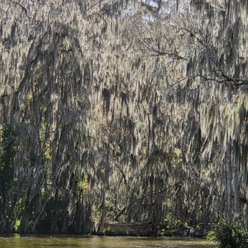 Premier Boat Tours - Boat Tours Near Me - Mount Dora, Florida