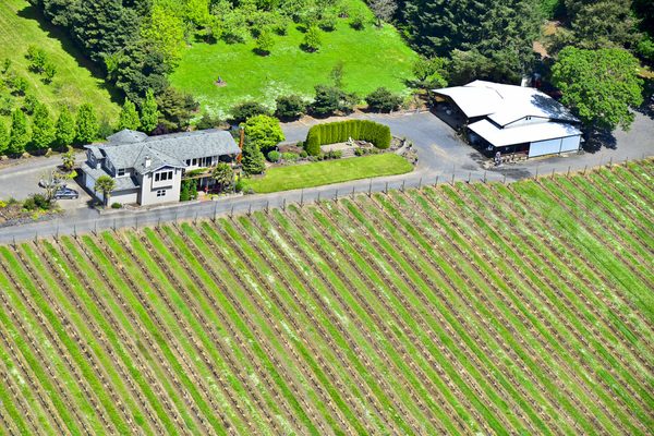 Stangeland Vineyards & Winery by null