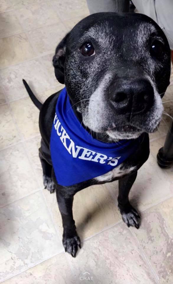 TICKNER’S Updated August 2024 11 Photos 90 Main St, Hackettstown