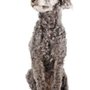 Photo of Gaithersburg Animal Hospital