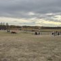 Photo of K3 Corn Maze and Family Farm