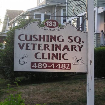 Cushing Square Veterinary Clinic - Cushing Square Vet Clinic - Veterinarians Near Me - Belmont, Massachusetts Cushing Square Veterinary Clinic - Cushing Square Vet Clinic - Veterinarians Near Me - Belmont, Massachusetts