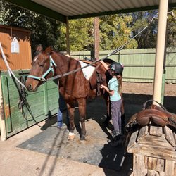 Liz Sanchez Training Stable