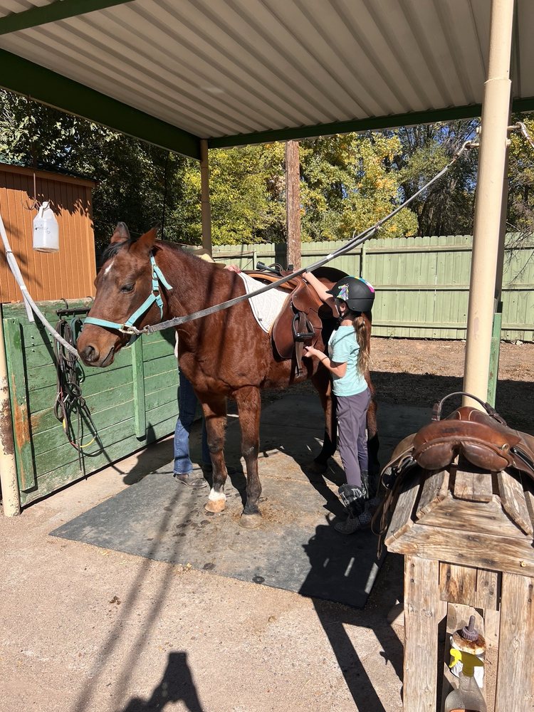 Liz Sanchez Training Stable - equestrian in Los Ranchos De Albuquerque, NM